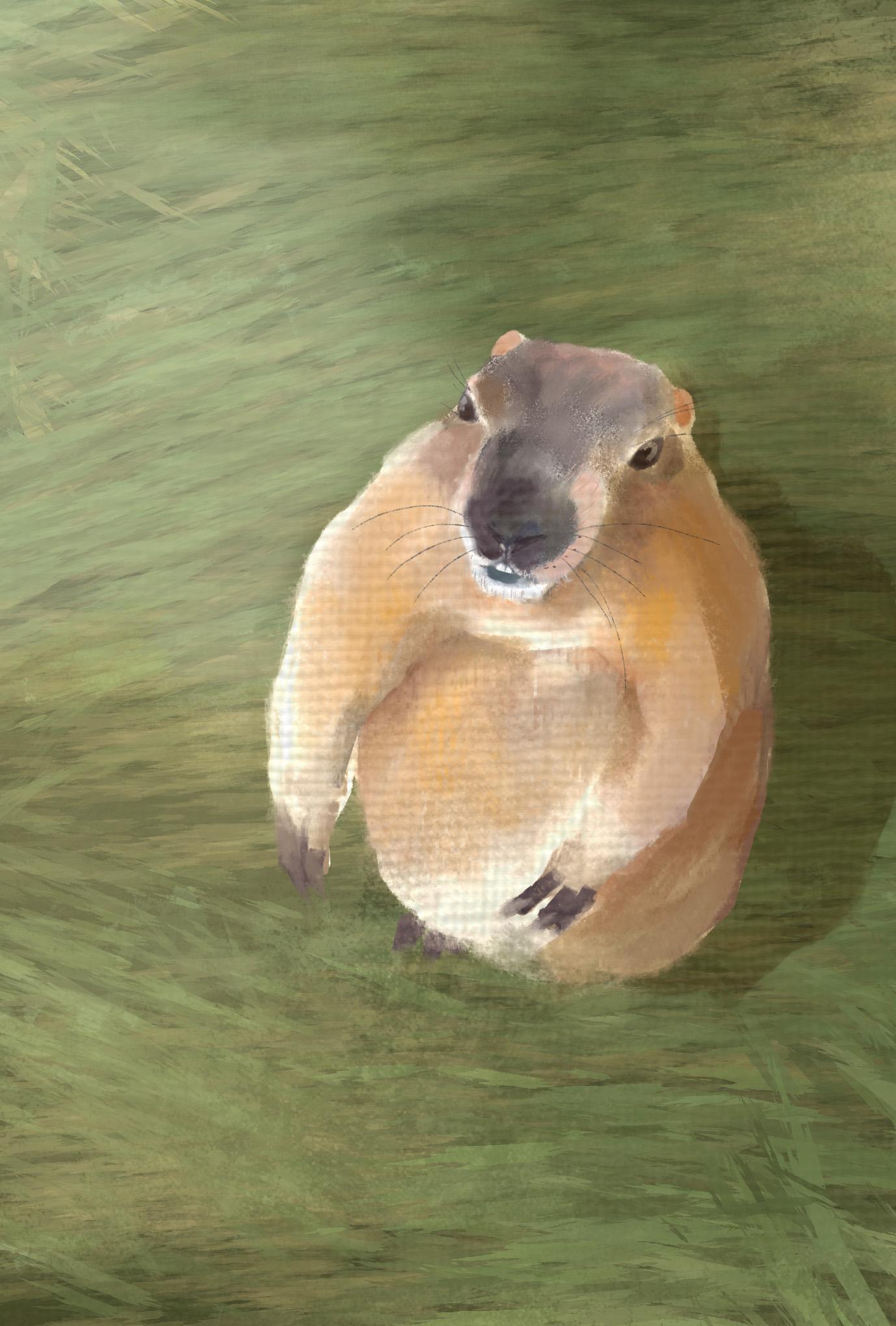 【ぽてぽてのうた】ポストカード『やさしさ』