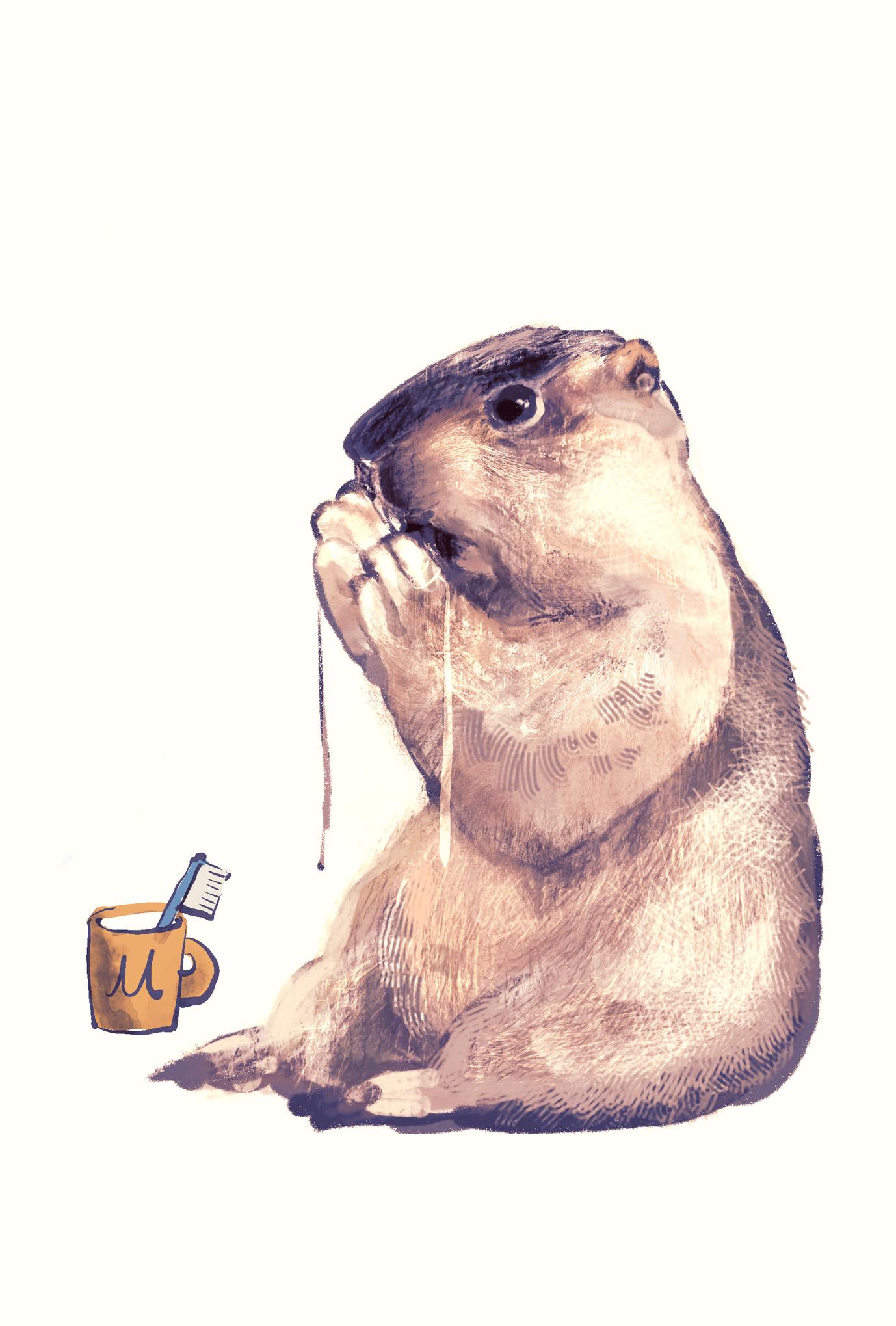 【ぽてぽてのうた】ポストカード『まいにちのきせき』