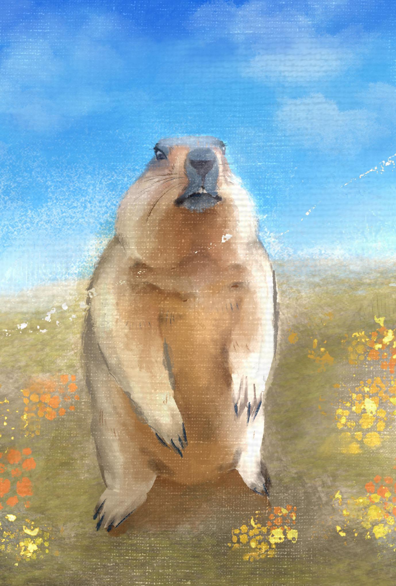 【ぽてぽてのうた】ポストカード『まいにちとぼく』