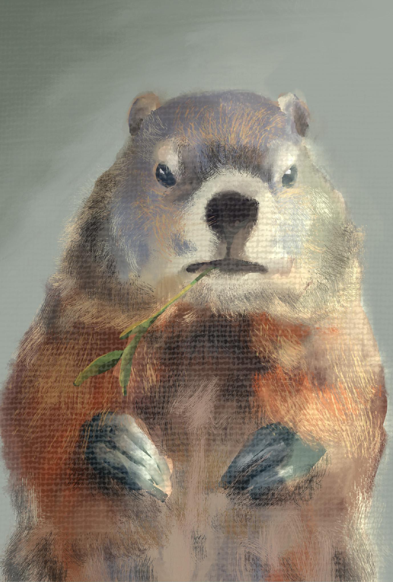 【ぽてぽてのうた】ポストカード『ほんとうのじぶん』