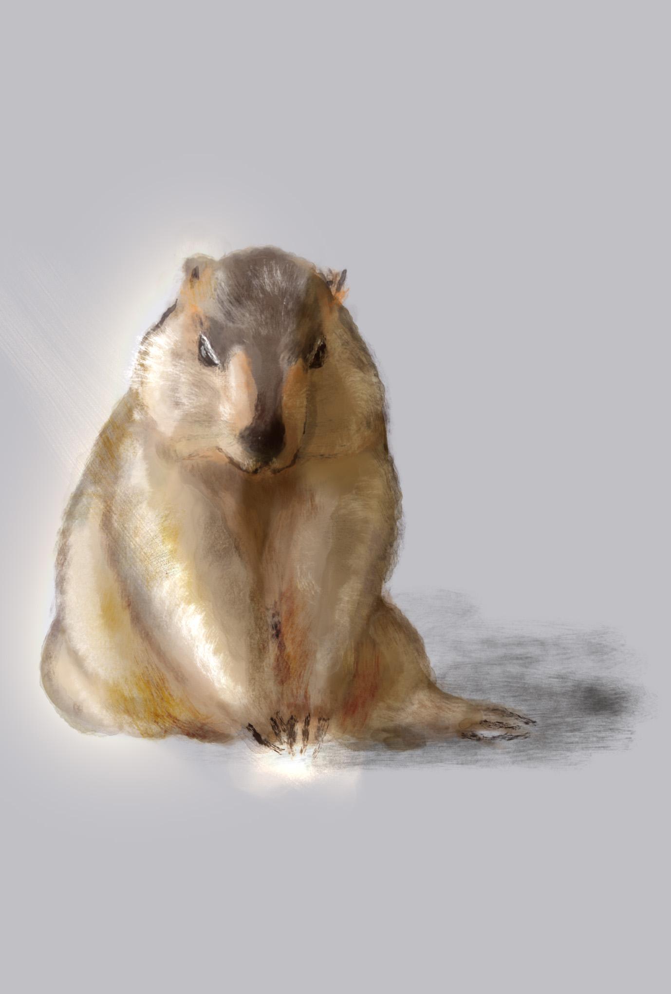 【ぽてぽてのうた】ポストカード『ぽてぽてのいのち』