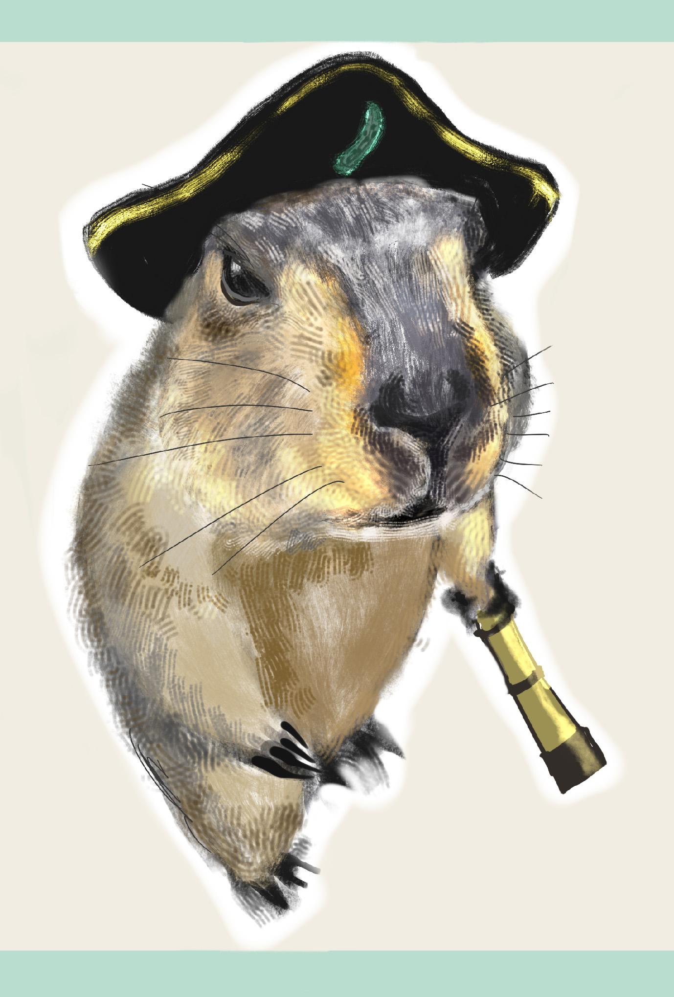 【ぽてぽてのうた】ポストカード『ぼくのいきかた』