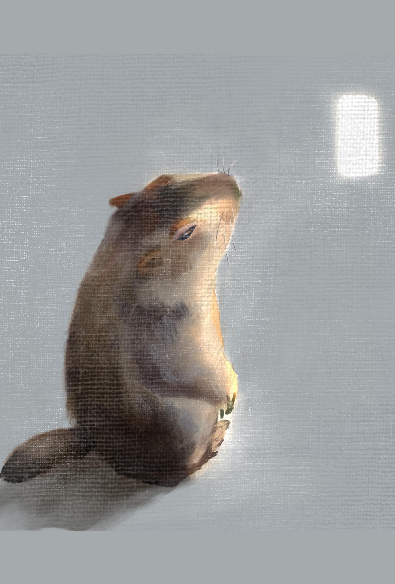 【ぽてぽてのうた】ポストカード『つめたいところ』