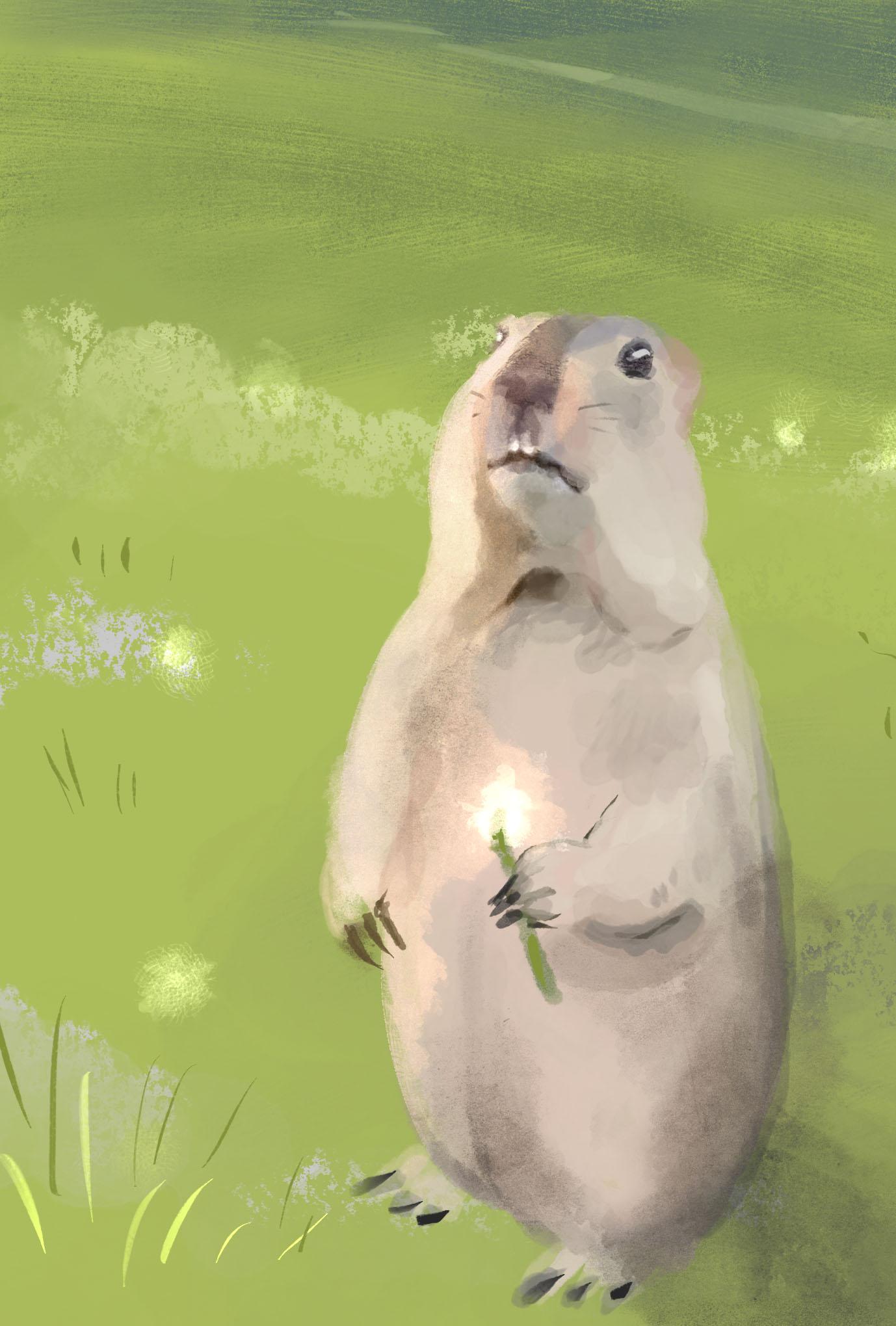 【ぽてぽてのうた】ポストカード『たんぽぽとあしあと』