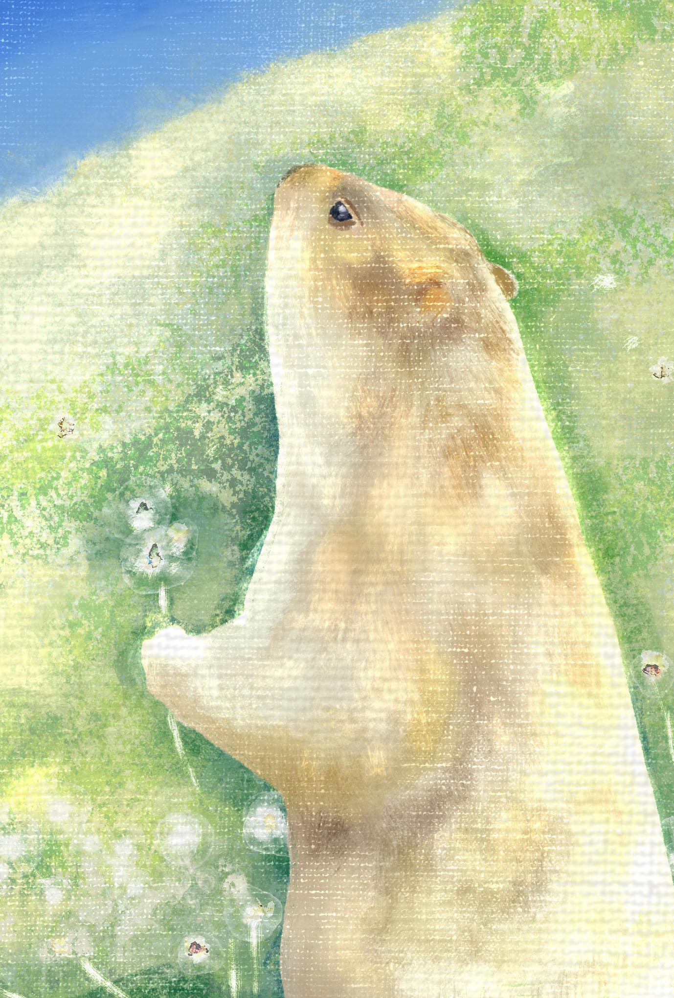 【ぽてぽてのうた】ポストカード『たいせつなしゅんかん』