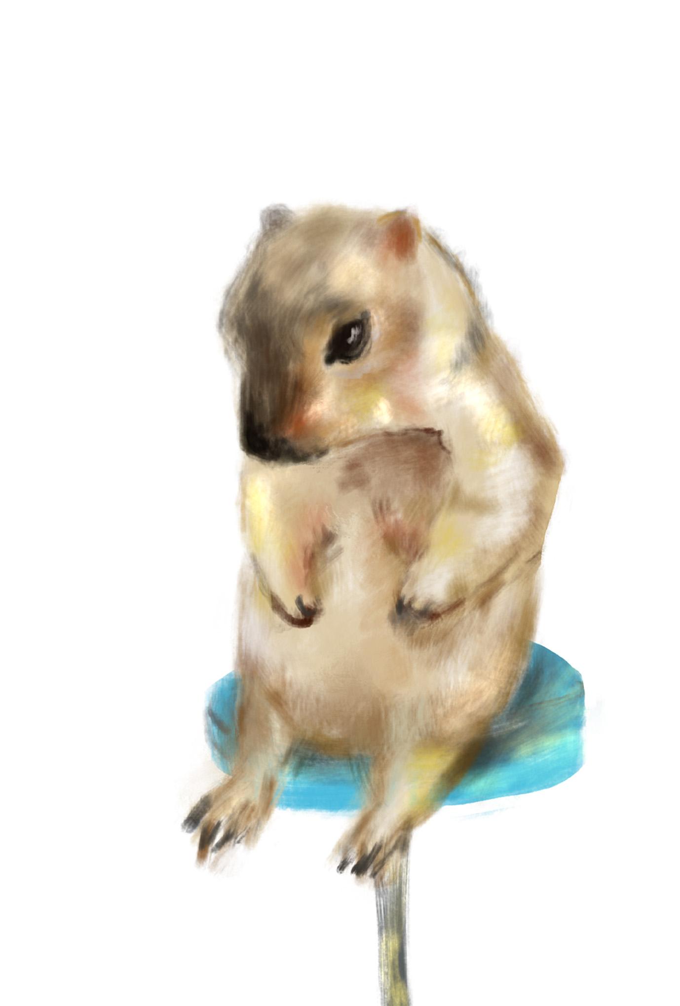 【ぽてぽてのうた】ポストカード『たいせつないたみ』