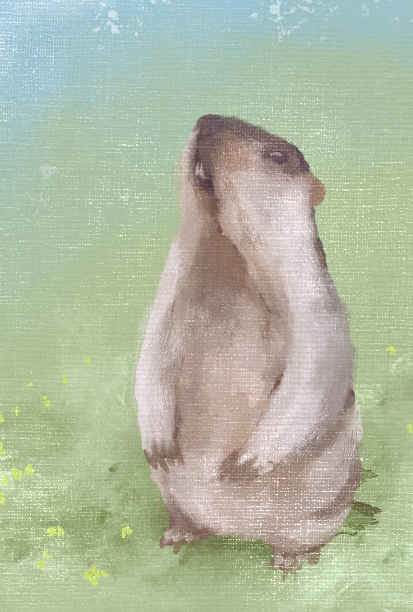 【ぽてぽてのうた】ポストカード『そらがあおい』