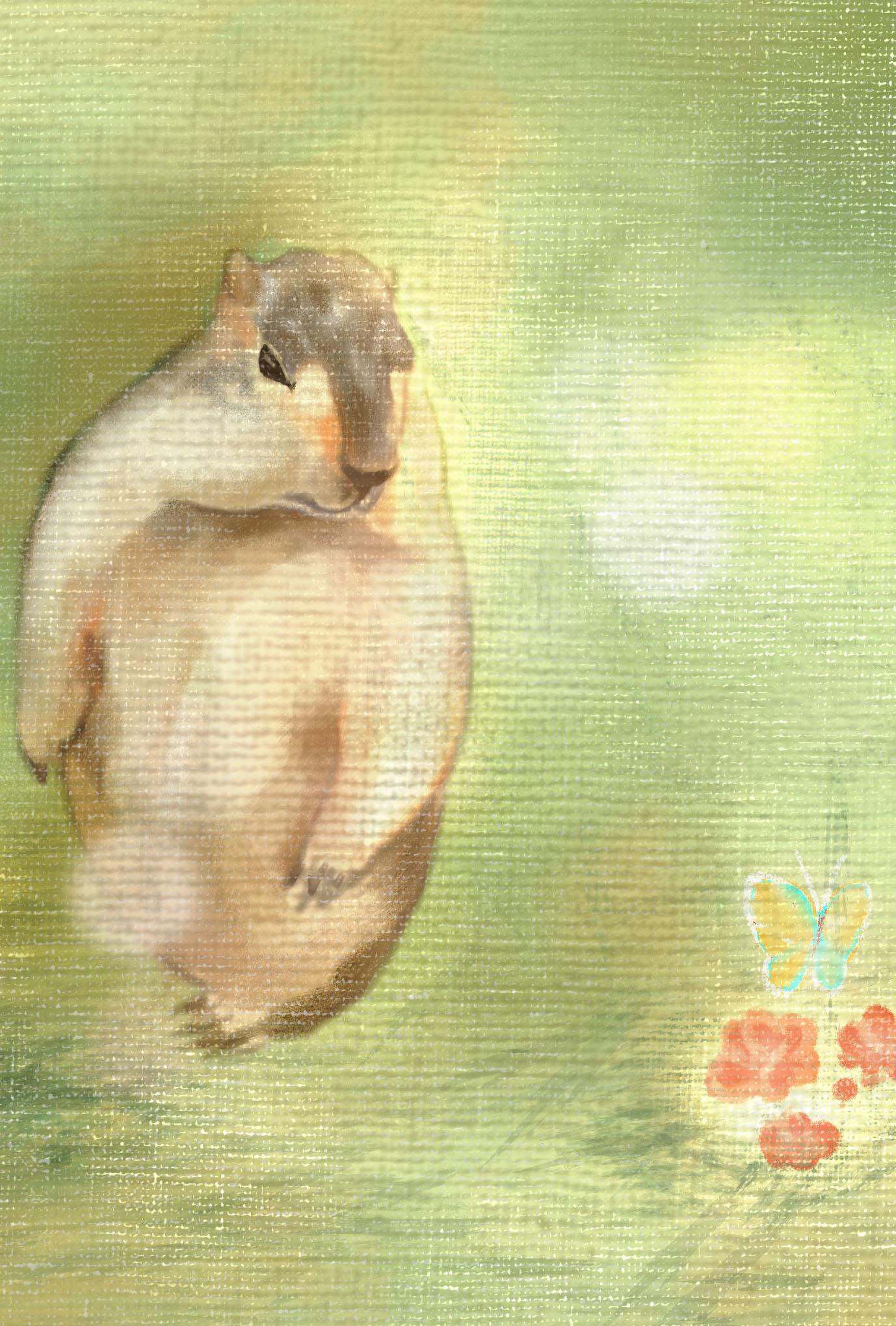 【ぽてぽてのうた】ポストカード『せいちょう』