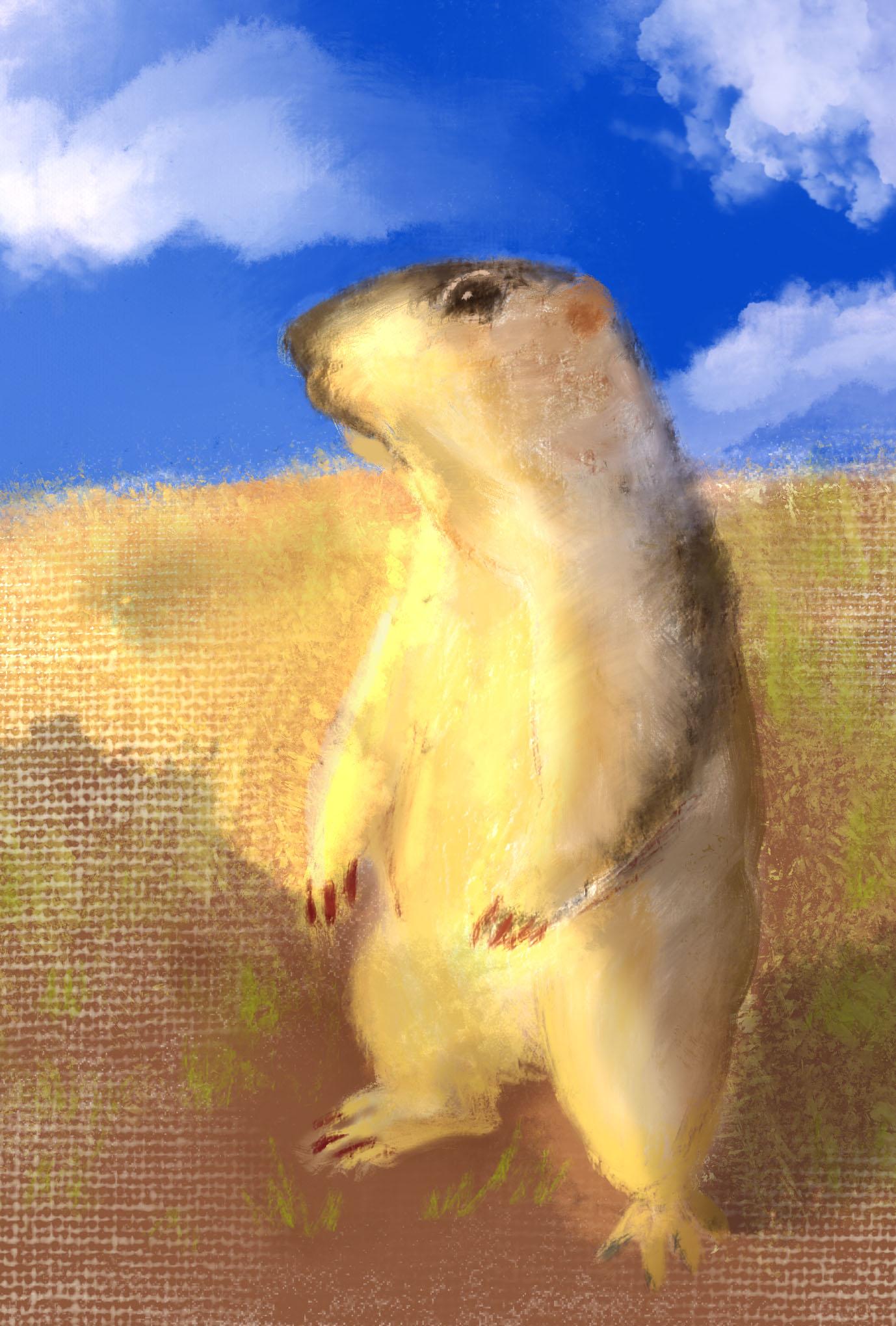 【ぽてぽてのうた】ポストカード『いみのいみ』