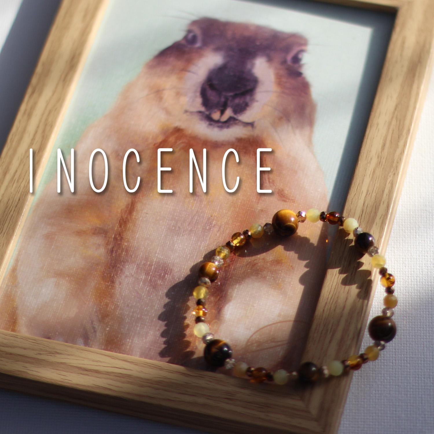 【限定セット】Bobak Marmot ブレスレット ＆ 額装アートポストカード