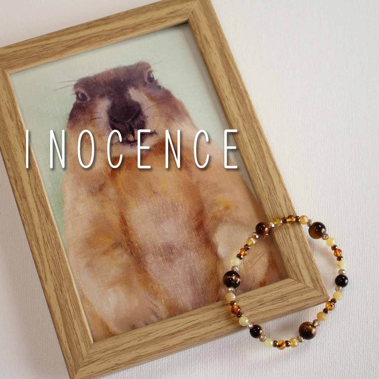 【限定セット】Bobak Marmot ブレスレット ＆ 額装アートポストカード | 2枚目