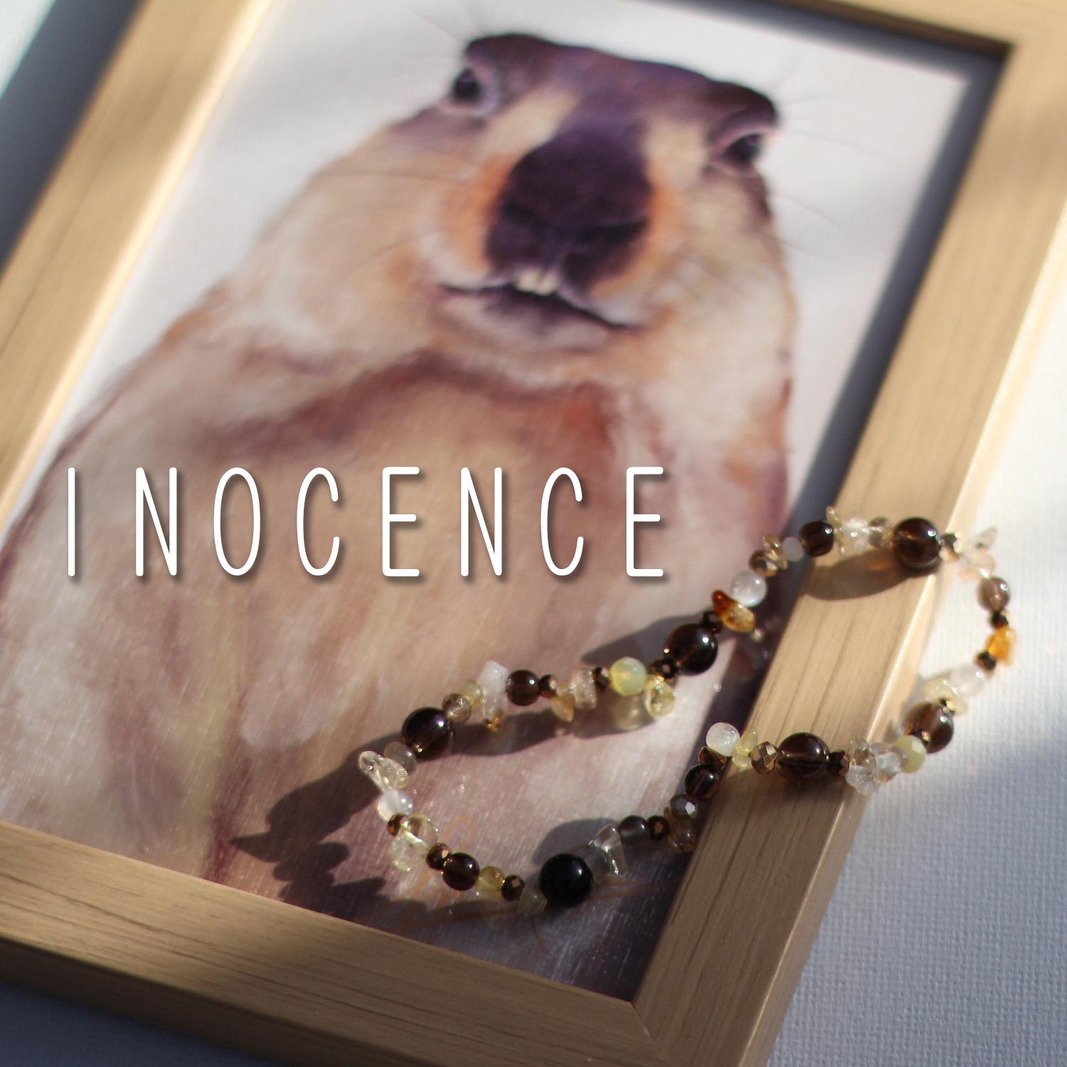 【限定セット】Himalayan Marmot ブレスレット ＆ 額装アートポストカード