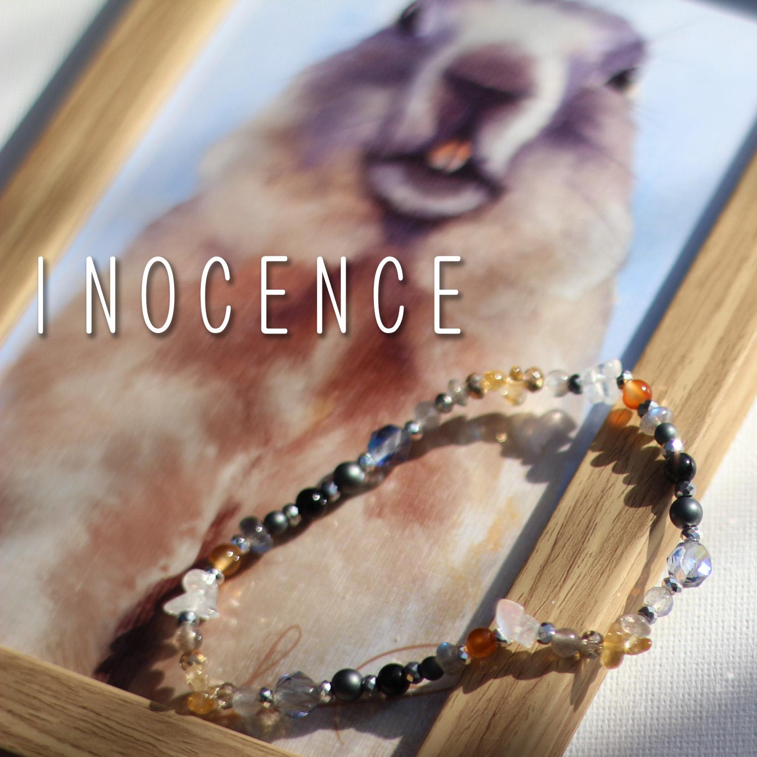 【限定セット】Alpine Marmot ブレスレット ＆ 額装アートポストカード